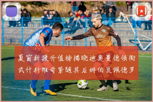 夏窗新援升值榜揭晓迪奥曼德领衔武什科维奇紧随其后姆伯莫佩德罗表现抢眼