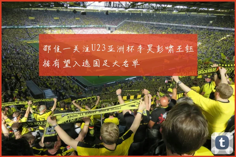 邵佳一关注U23亚洲杯李昊彭啸王钰栋有望入选国足大名单