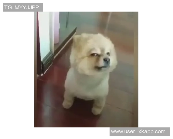 尤文图斯锁定圭多罗德里格斯期待斯帕莱蒂决定并关注凯西动态 尤文图斯锁定圭多罗德里格斯期待斯帕莱蒂决定并关注凯西动态