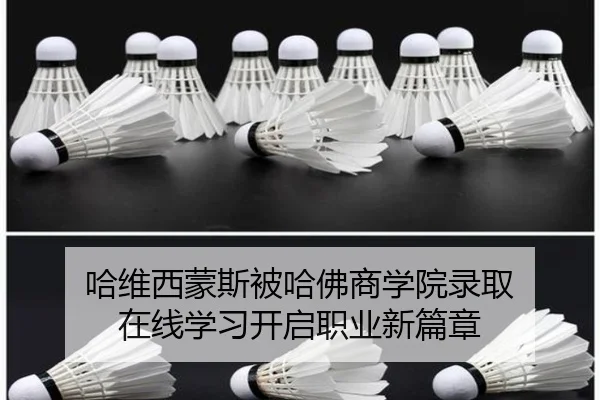 哈维西蒙斯被哈佛商学院录取 在线学习开启职业新篇章 | www.xingkong.com